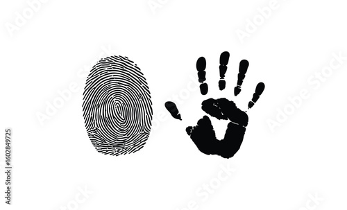 Detailed fingerprint and handprint illustration on white background. Vector retro hand drawn illustration.