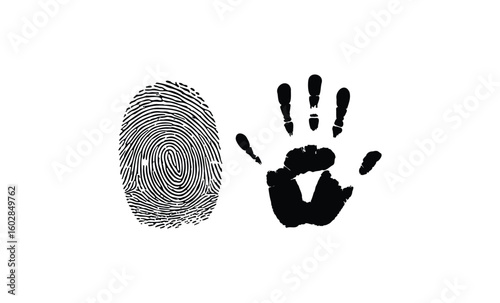 Black fingerprint and handprint on white background - forensic identity concept. Vector retro hand drawn illustration.