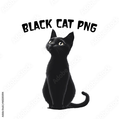 Cute Black Cat PNG Clipart Bundle  Sitting Cat Illustrations.