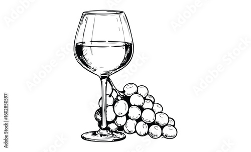 Elegant wine glass and grapes - sketch style still life drawing on white background. Vector retro hand drawn illustration.