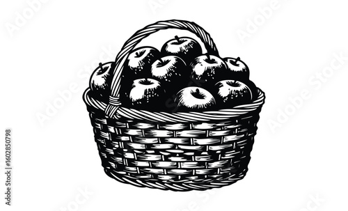 Vintage black and white illustration of a basket of apples. Vector retro hand drawn illustration.