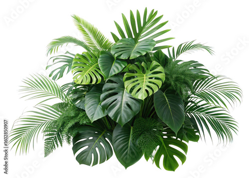 Lush tropical plant arrangement with large green leaves isolated on transparent background