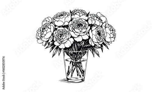 Black and white peony bouquet in a clear glass vase line art drawing. Vector retro hand drawn illustration.