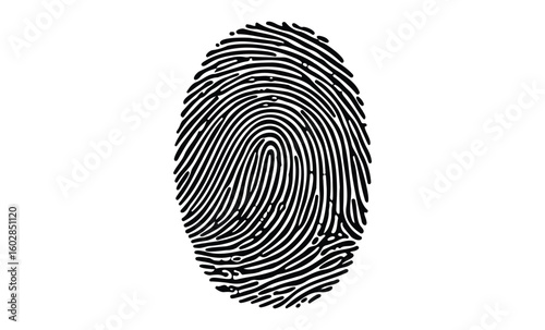 Detailed black fingerprint illustration on white background. Vector retro hand drawn illustration.
