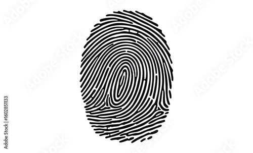 Detailed black fingerprint pattern on white background for biometric design. Vector retro hand drawn illustration.