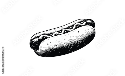 Black and white sketched hot dog illustration with detailed bun and sausage. Vector retro hand drawn illustration.