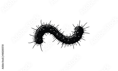 Black silhouette of wiggling centipede with spiky legs on white background. Vector retro hand drawn illustration.