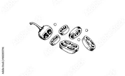 Hand-drawn black and white sliced bell pepper illustration. Vector retro hand drawn illustration.