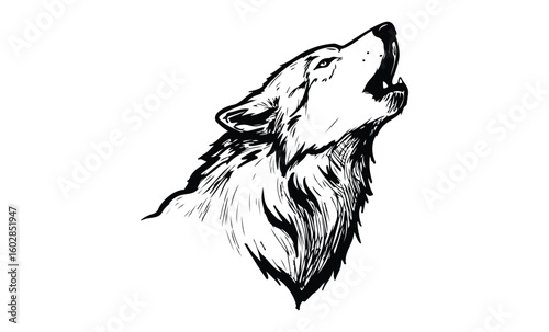 Black and white illustration of howling wolf with detailed fur. Vector retro hand drawn illustration.