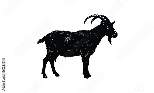 Silhouette of a standing goat with curved horns on a white background. Vector retro hand drawn illustration.