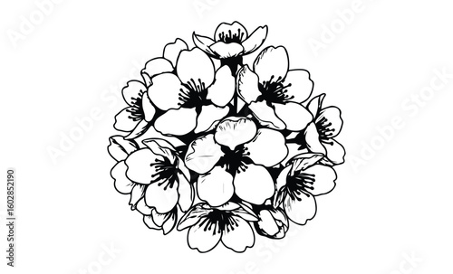 Monochrome cherry blossom arrangement in full bloom. Vector retro hand drawn illustration.
