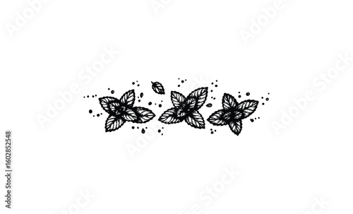 Intricate black leaf pattern with dots on white background. Vector retro hand drawn illustration.