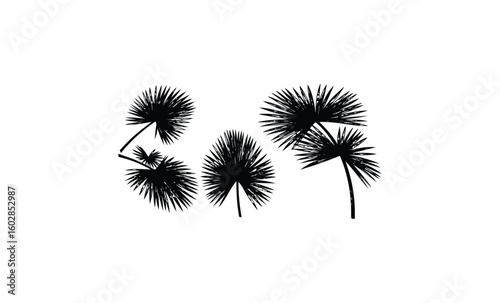 Silhouetted palm leaves on white background with minimalist design. Vector retro hand drawn illustration.