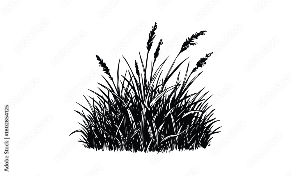 Monochrome silhouette of wild grass blades and stems in a natural bunch. Vector retro hand drawn illustration.
