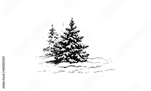 Snow-covered evergreen trees in winter forest scene. Vector retro hand drawn illustration.