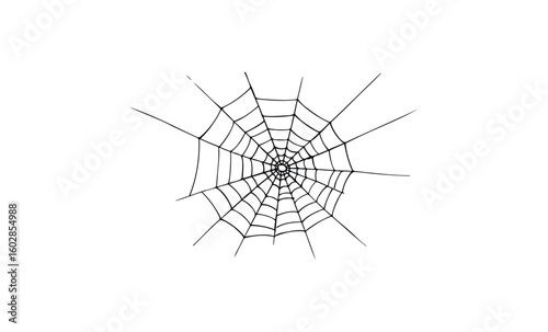 Intricate symmetrical spiderweb design on white background. Vector retro hand drawn illustration.