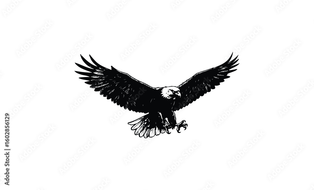 Fototapeta premium Black and white illustration of an eagle in mid-flight. Vector retro hand drawn illustration.