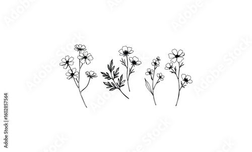 Minimalist black and white floral sketch of various wildflowers and leaves. Vector retro hand drawn illustration.