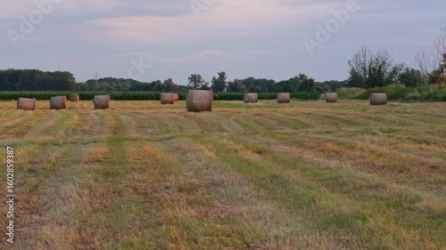 Hay bales on a freshly mowed meadow wrapped in netting and lit by the warm glow of the setting sun during golden hour.