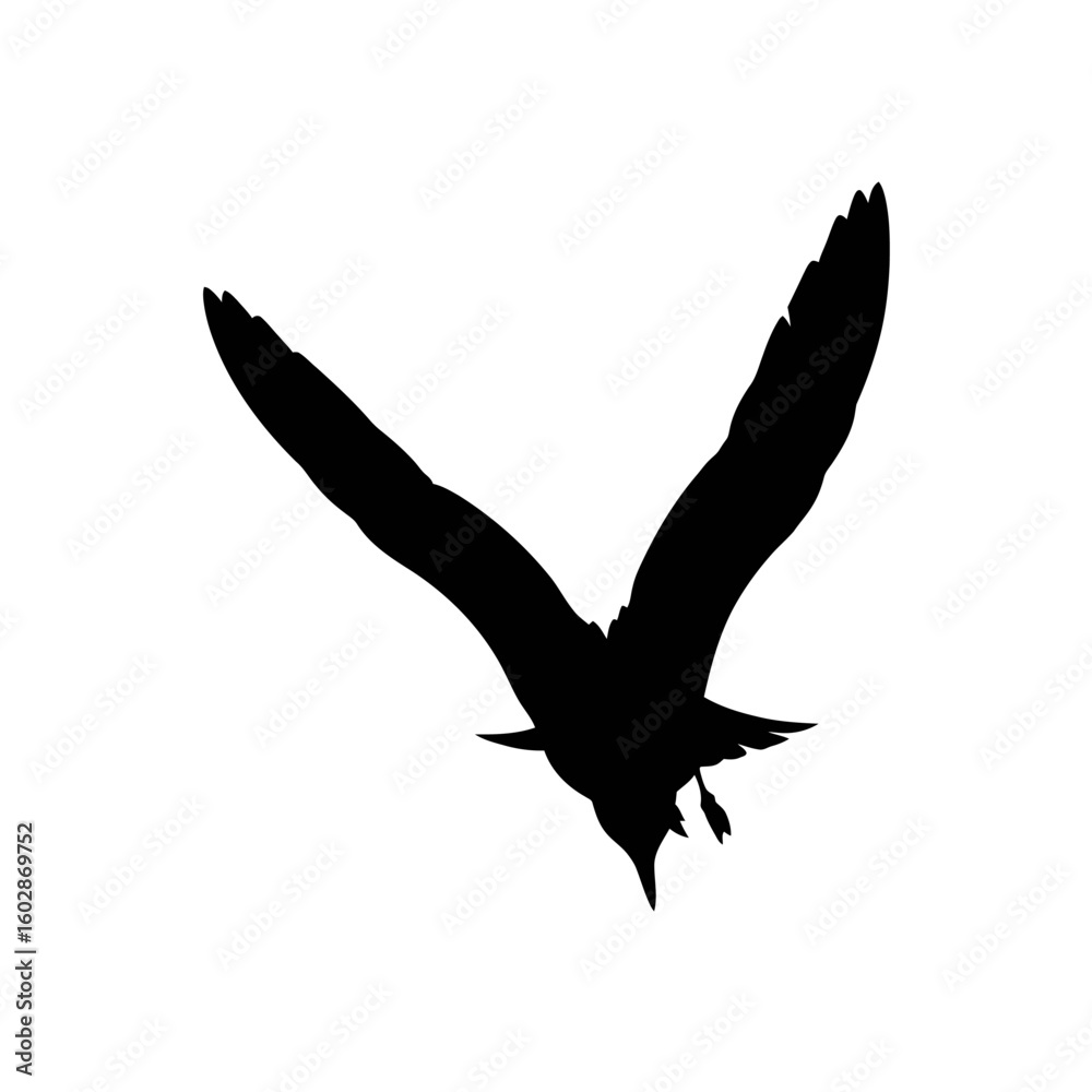 Fototapeta premium Black headed eagle in flight silhouette vector illustration