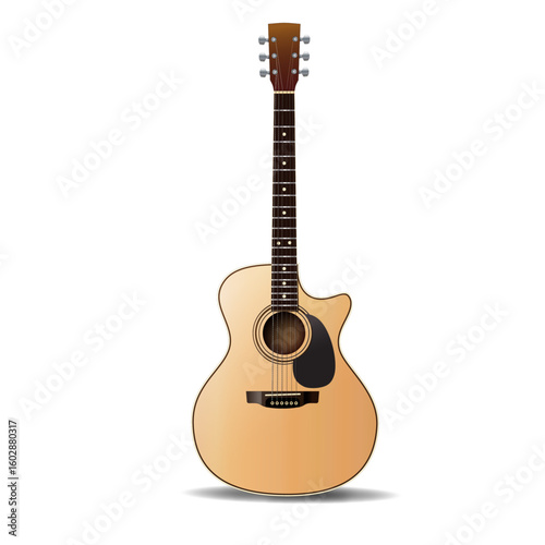 Accoustic Guitar 