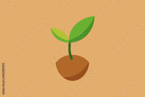 Simple illustration of a sprouting plant with two green leaves and a brown seed.
