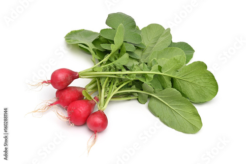 Fresh radishes