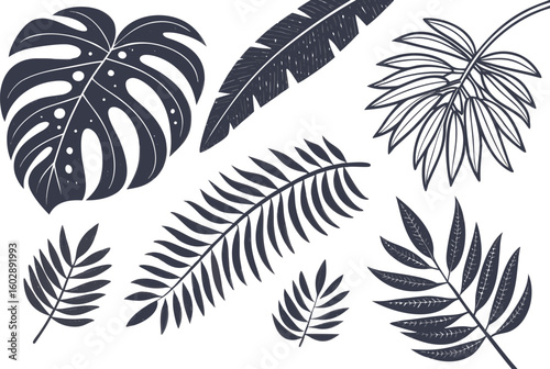 A seamless vector pattern illustrating a set of ornate bird feathers, perfect for vintage nature-inspired designs or decorative elements