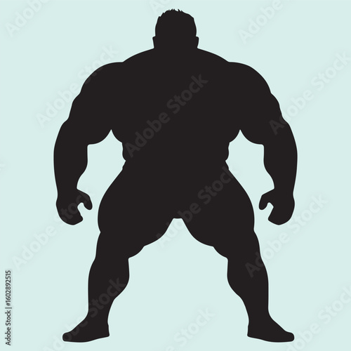 Sumo Sport Icon