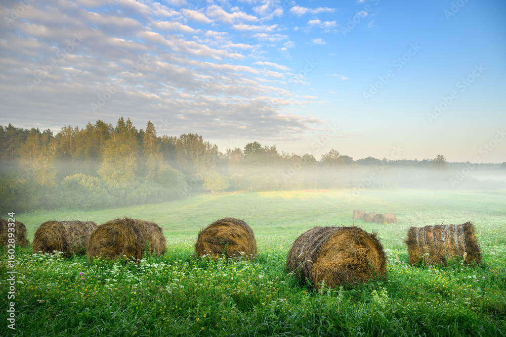 Fototapeta premium beautiful misty morning over the countryside fields