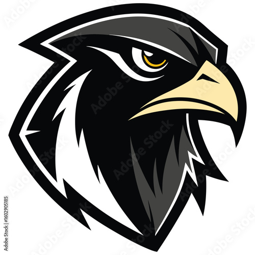 Vector illustration of a majestic eagle head