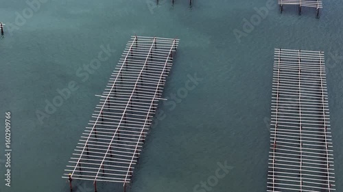 Drone footage of an offshore oyster farm showing rows of metallic structures in clear water under full sun.