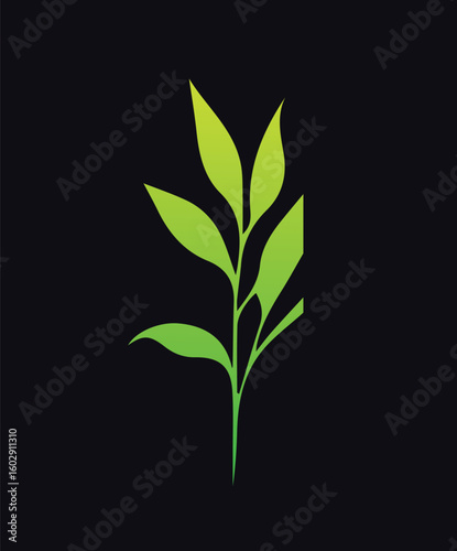 Minimal feminine botanical floral branch in silhouette style. Hand drawn wedding herb, minimalistic flowers with elegant leaves. Botanical rustic trendy greenery Vector