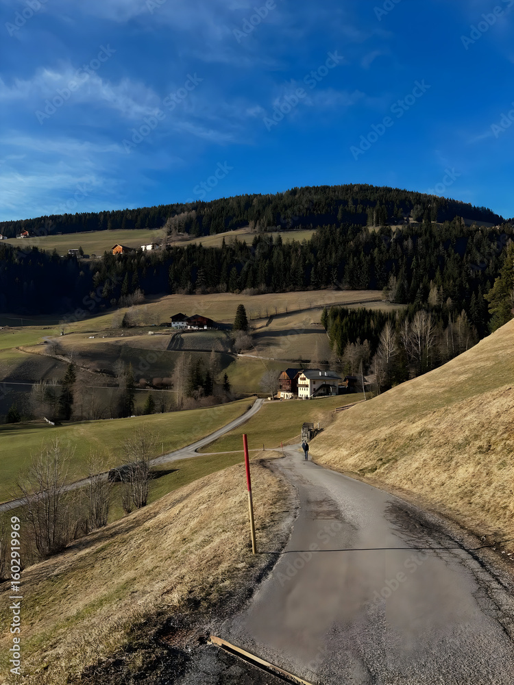 Fototapeta premium road in the mountains