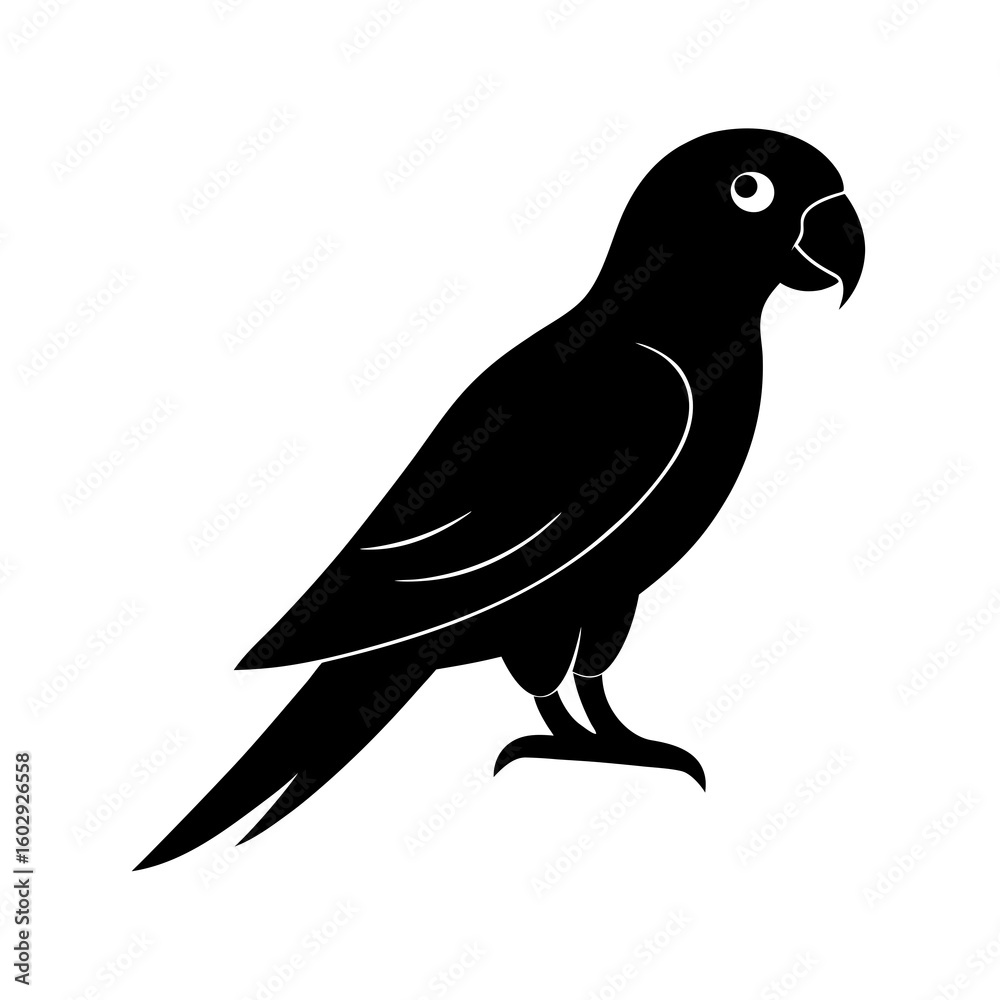 Obraz premium bird on a white background