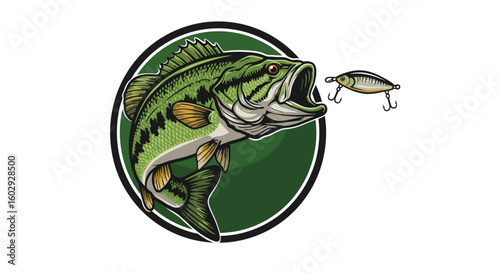Bass Fish Catching Lure Illustration