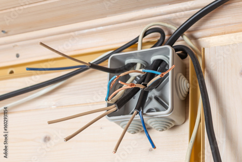 Photos Open junction box with multiple exposed copper, blue, and brown wires ready for electrical installation inside wooden house