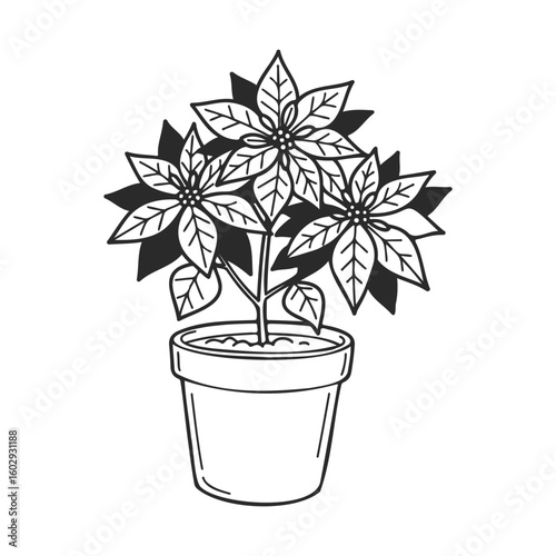 Black and white illustration of a potted poinsettia plant – stock vector icon in line style