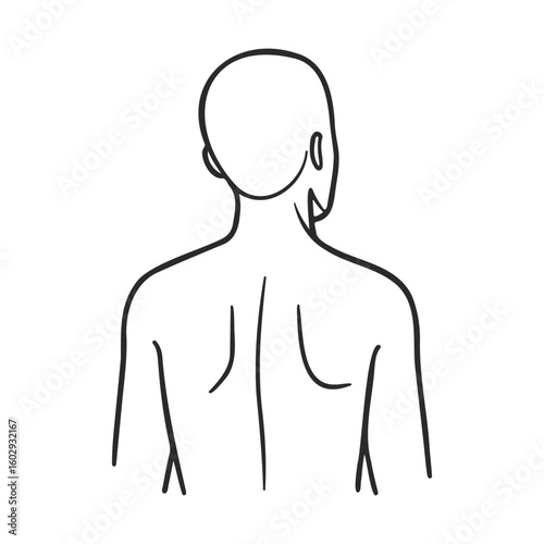 Line art of a female upper body viewed from behind – stock vector icon in line style