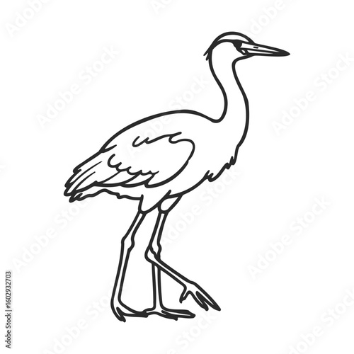 Outline drawing of a heron standing elegantly – stock vector icon in line style