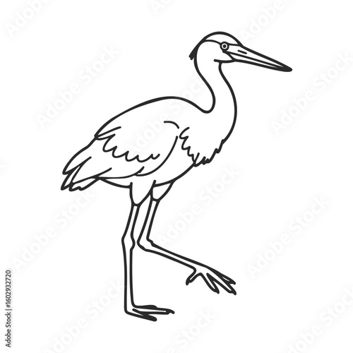 Outline drawing of a crane walking on white background – stock vector icon in line style