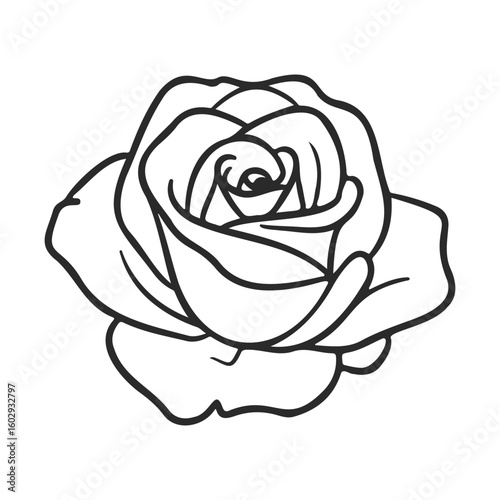 Detailed black and white rose outline illustration for coloring – stock vector icon in line style