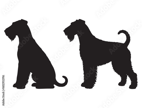 AIREDALE TERRIER DOG SILHOUETTE