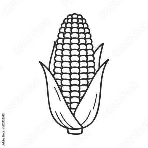 Black and white corn illustration with husk – stock vector icon in line style