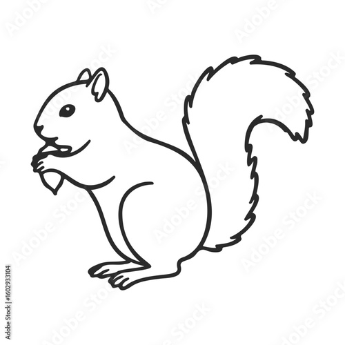 Outlined squirrel eating nut line art black and white illustration – stock vector icon in line style