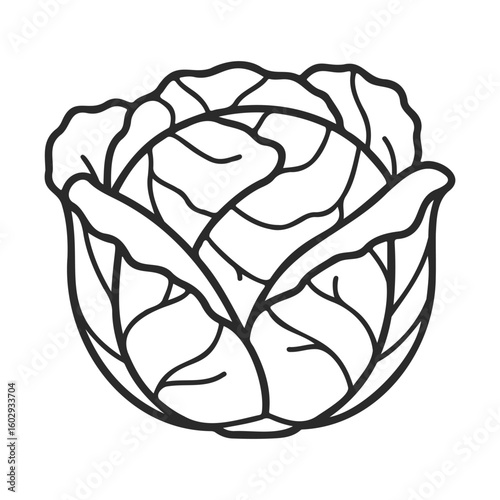 Black and white line art of a cabbage with intricate leaf design – stock vector icon in line style
