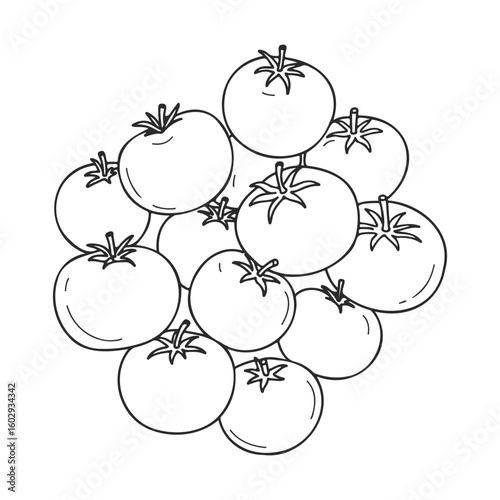 Hand-drawn black and white tomato outline illustration on white background – stock vector icon in line style