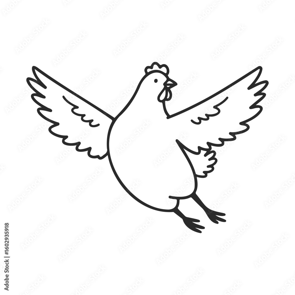 Fototapeta premium Black and white flying chicken drawing with open wings – stock vector icon in line style