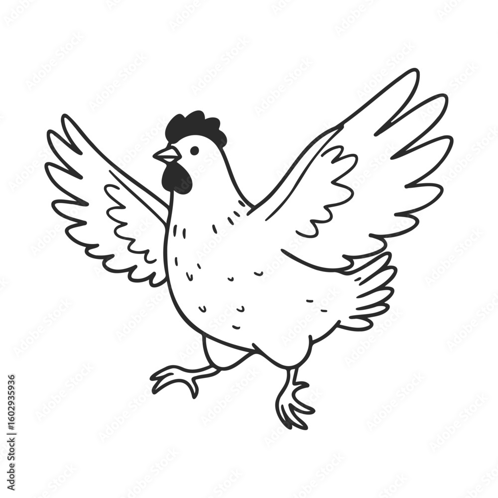 Fototapeta premium Black and white line drawing of a chicken with spread wings – stock vector icon in line style