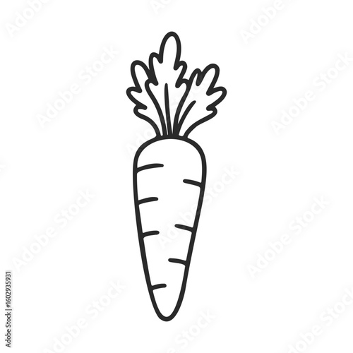 Simple black and white carrot illustration with leafy top on white background – stock vector icon in line style